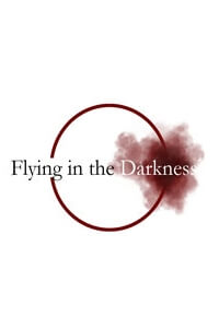 Flying in the Darkness